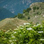 Перпендикулярна вселена 12