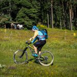Перпендикулярна вселена 12