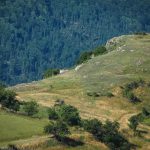 Перпендикулярна вселена 12