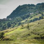 Перпендикулярна вселена 12