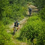 Перпендикулярна вселена 8