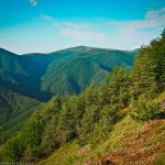 Перпендикулярна вселена 8