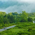 Перпендикулярна вселена 8
