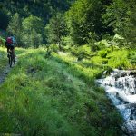 Перпендикулярна вселена 8