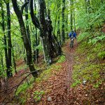 Перпендикулярна вселена 8