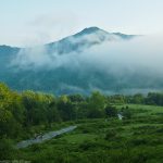 Перпендикулярна вселена 8