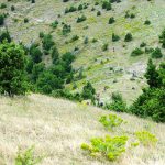 Перпендикулярна вселена 9