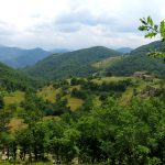 Перпендикулярна вселена 9