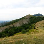 Перпендикулярна вселена 9