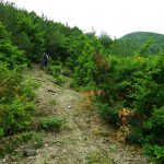 Перпендикулярна вселена 9