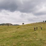 Перпендикулярна вселена 9