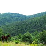 Перпендикулярна вселена 9