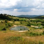Перпендикулярна вселена 9