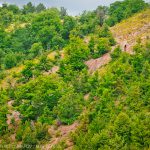 Перпендикулярна вселена 9