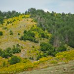 Перпендикулярна вселена 9