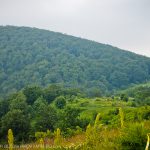 Перпендикулярна вселена 9