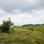 Перпендикулярна вселена 9