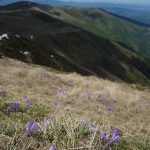 Погранично през вр. Ком