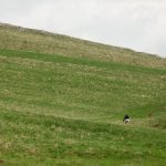 Понор планина