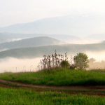 Снимка на седмицата (2 - 8 май 2011 г.)