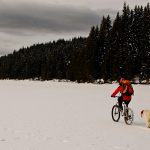 Снимка на седмицата (11-17) февруари 2013 г.)