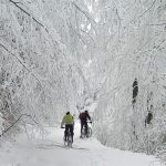 Снимка на седмицата (2 - 8 март 2009 г.)