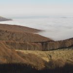 Снимка на седмицата (21-27 януари 2013 г.)