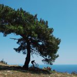 Снимка на седмицата (13-19 юни 2016 г.)