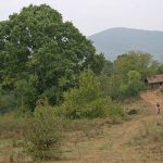 Снимка на седмицата (3-9 октомври 2011 г.)