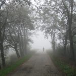 Снимка на седмицата (25 - 31 януари 2010 г.)