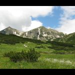 Снимка на седмицата (5-11 юли 2010 г.)