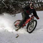 Снимка на седмицата (1 - 7 февруари 2010 г.)