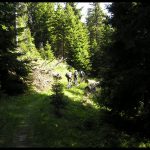 Rodopi