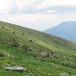 Спешно каране на Рила