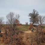 Влахина планина