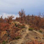 Влахина планина