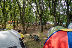 IMG_9350