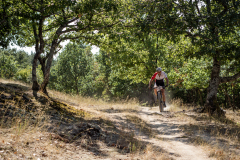 IMG_0084