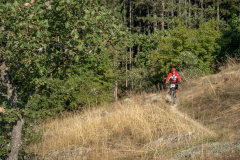IMG_0122