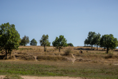 IMG_9865