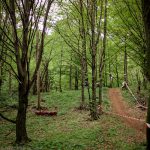 Botevgrad Downhill Cup 2017