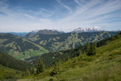 IMG_9232