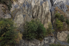 IMG_20190911_083820