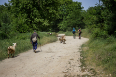 IMG_8527