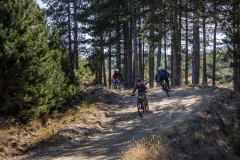 Blagoevgrad-2021_016