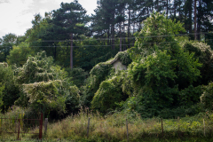 Blagoevgrad-2021_086