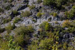 Blagoevgrad-2021_101