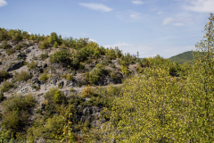 Blagoevgrad-2021_102