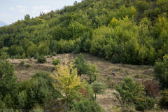 Blagoevgrad-2021_110