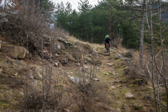 P2050422